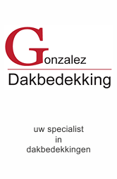 gonzalez-dakbedekking salsaplatform sponsor
